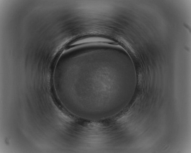 X0000091350444200708241250