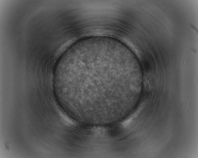 X0000091350445200708241250