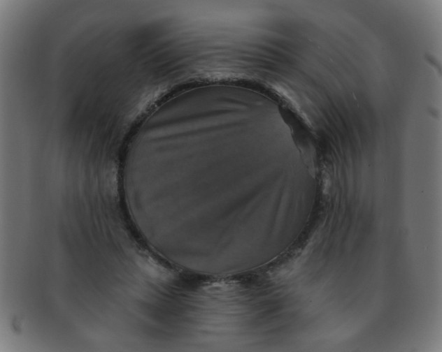 X0000091350447200708241250