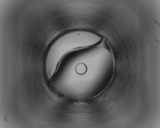 X0000091350448200708241250