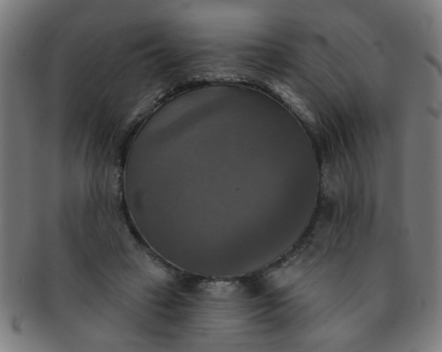 X0000091350449200708241250