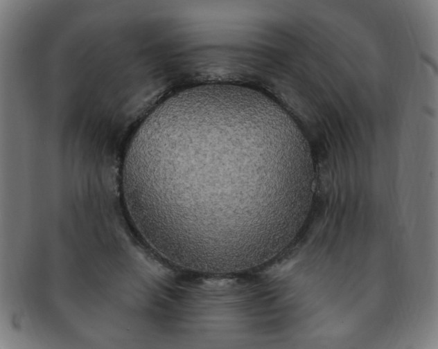 X0000091350450200708241250