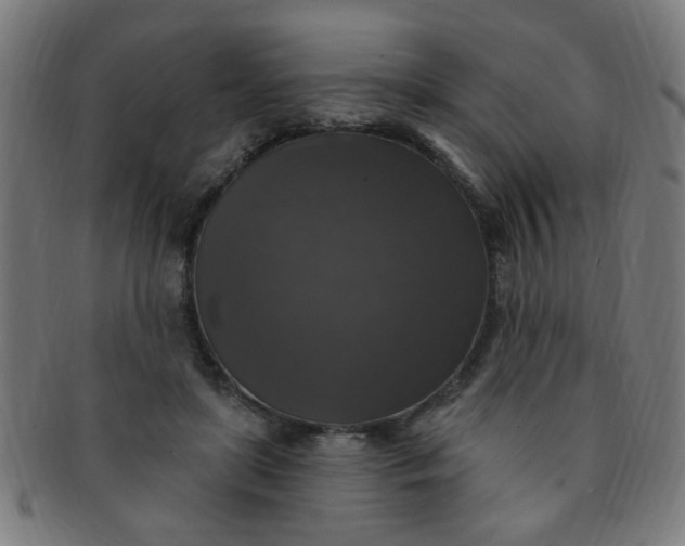 X0000091350451200708241251