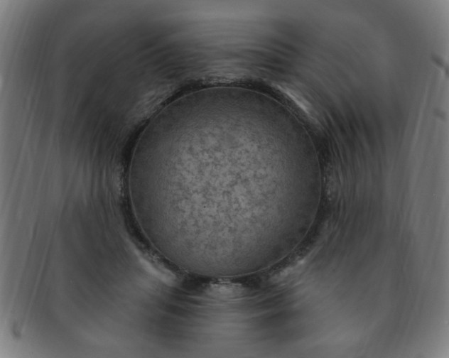 X0000091350455200708241251