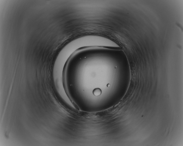 X0000091350456200708241251