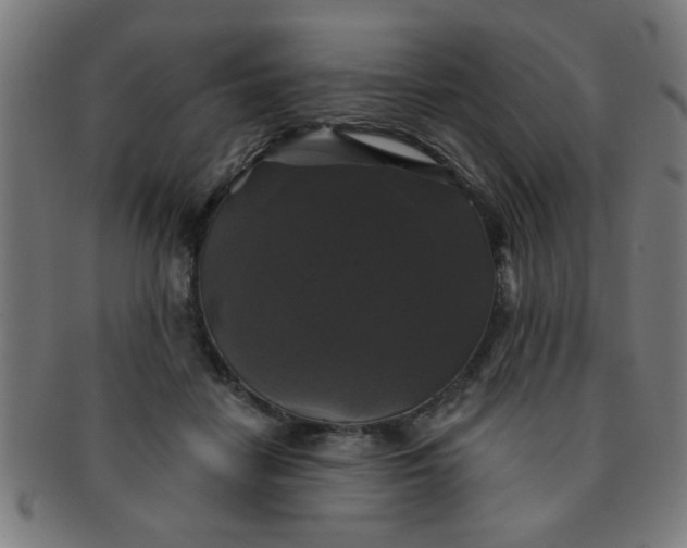 X0000091350458200708241251