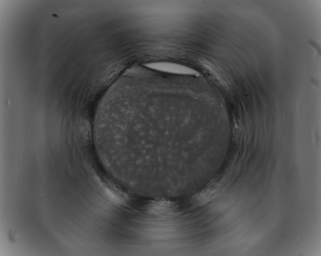 X0000091350459200708241251