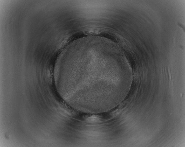 X0000091350460200708241251