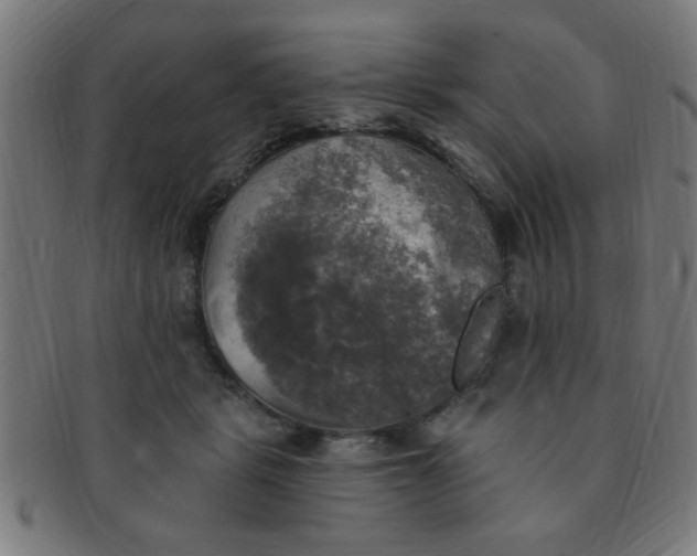 X0000091350461200708241251