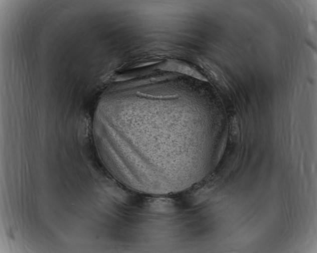 X0000091350463200708241251