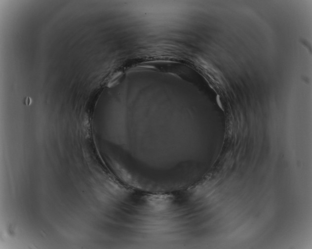 X0000091350465200708241251