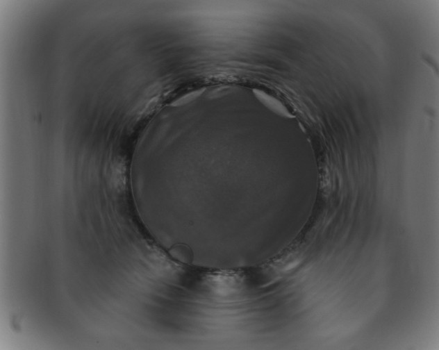 X0000091350466200708241251