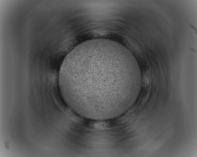 X0000091350468200708241251