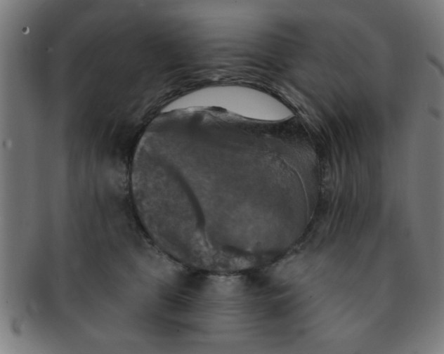 X0000091350469200708241251