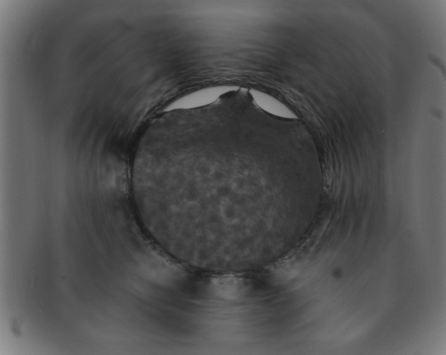 X0000091350470200708241251