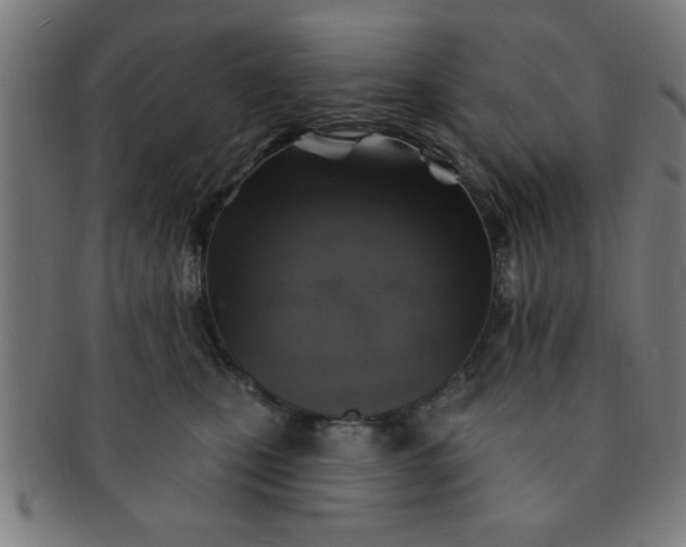 X0000091350471200708241251