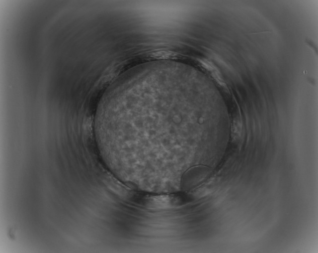 X0000091350473200708241251