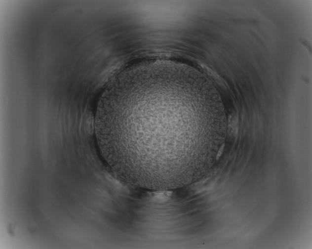 X0000091350474200708241251
