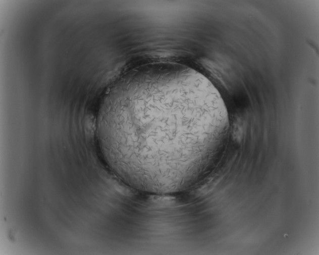 X0000091350476200708241251