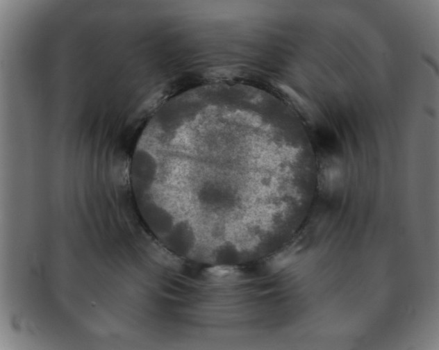 X0000091350477200708241251