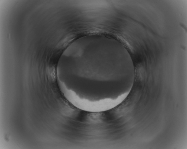 X0000091350479200708241251