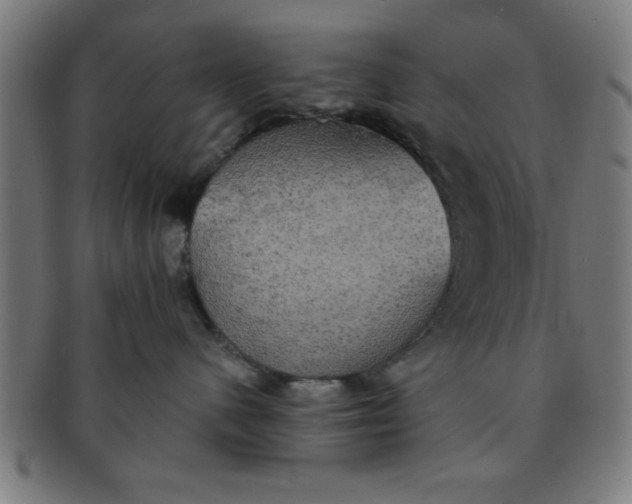 X0000091350480200708241251