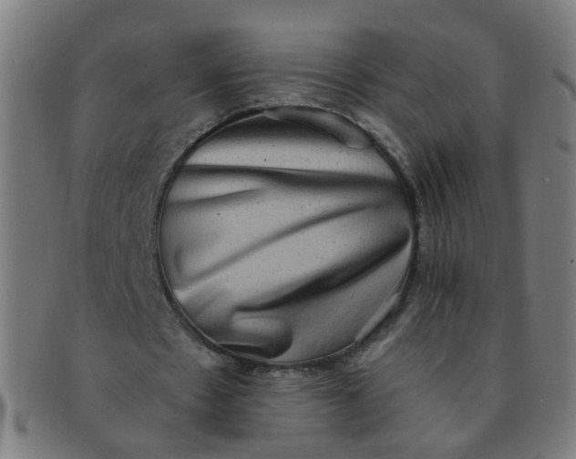X0000091350481200708241250