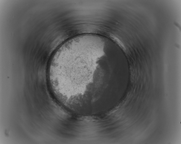 X0000091350482200708241250