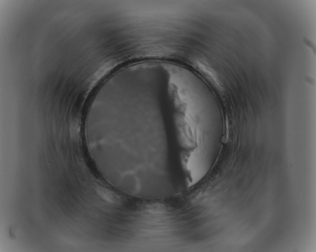 X0000091350483200708241250
