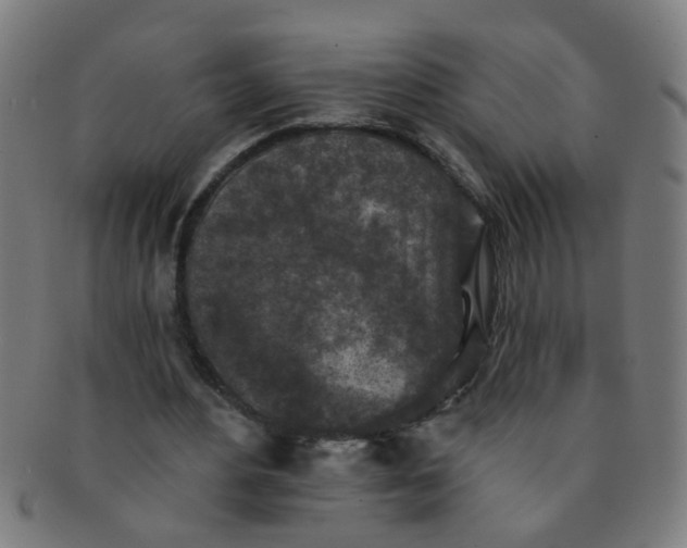 X0000091350484200708241250