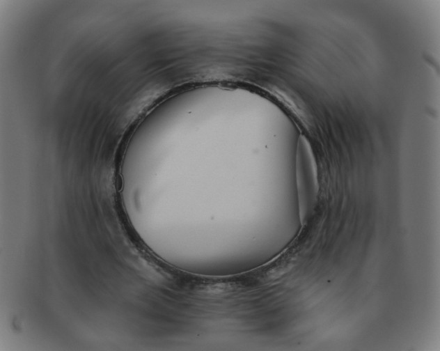 X0000091350485200708241250