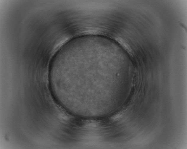 X0000091350486200708241250