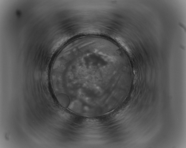 X0000091350487200708241250