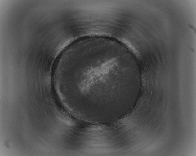 X0000091350488200708241250