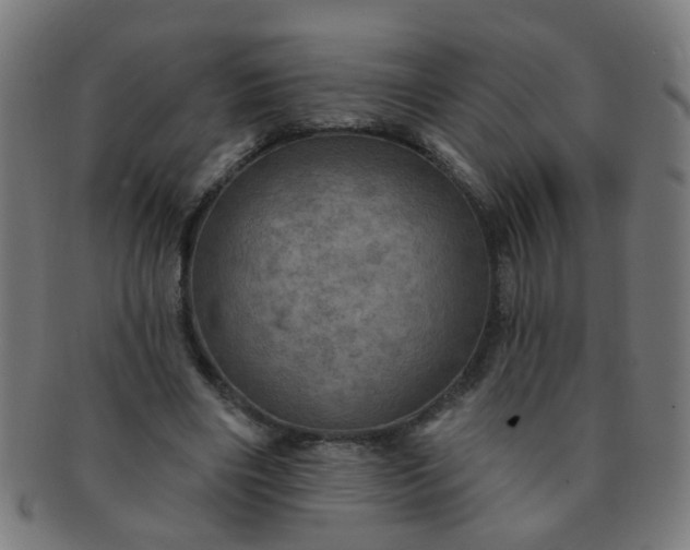 X0000091350490200708241250