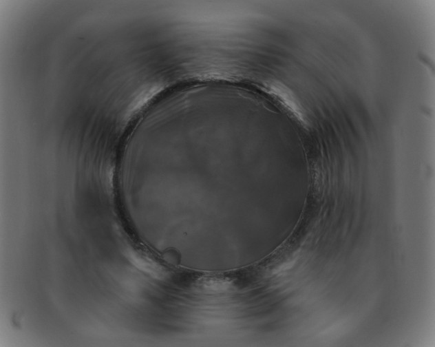 X0000091350491200708241250