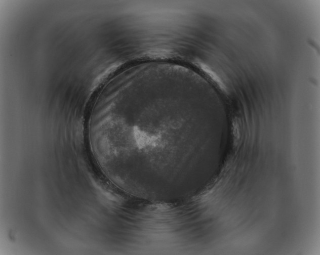 X0000091350492200708241250