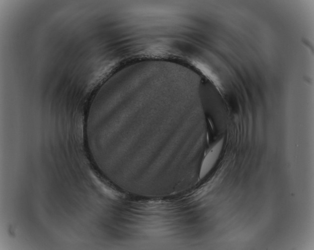 X0000091350493200708241250