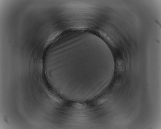 X0000091350494200708241250