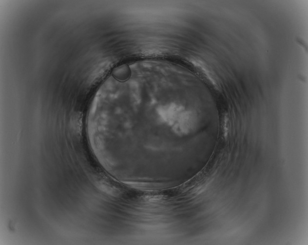 X0000091350495200708241250