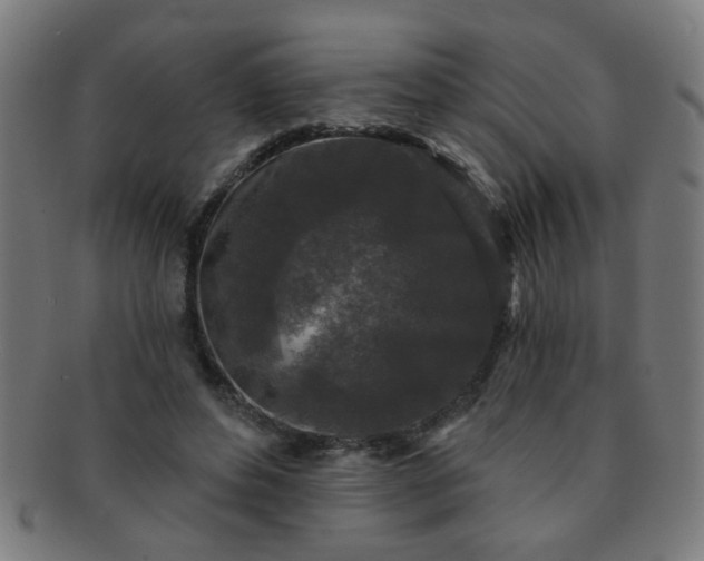 X0000091350496200708241250