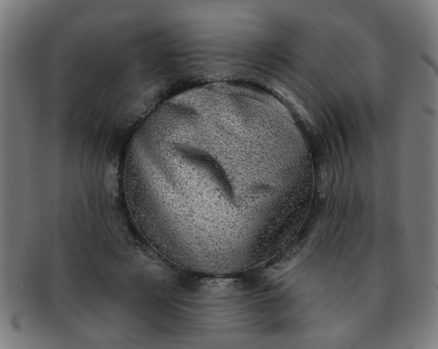 X0000091350497200708241250