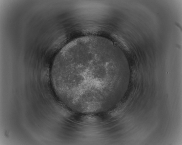 X0000091350498200708241250