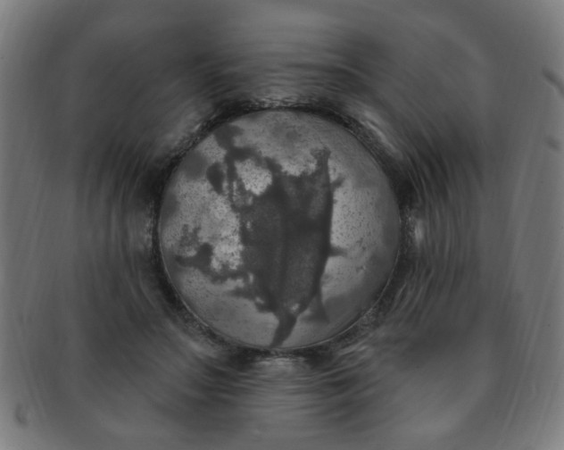 X0000091350499200708241250