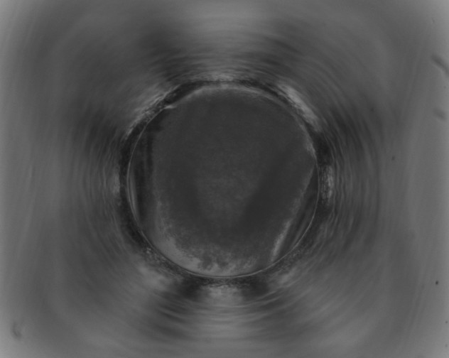 X0000091350500200708241250