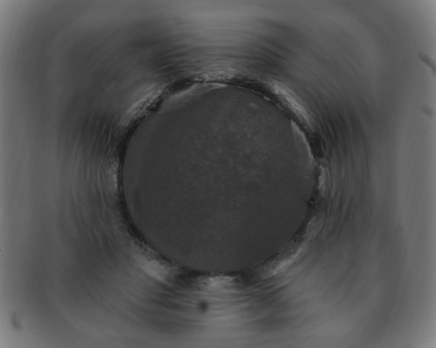X0000091350501200708241250