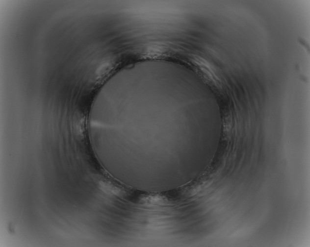 X0000091350503200708241250