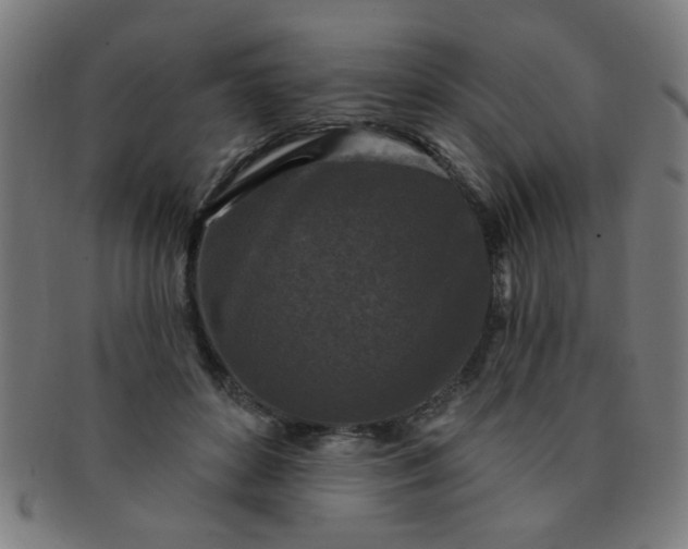 X0000091350504200708241250