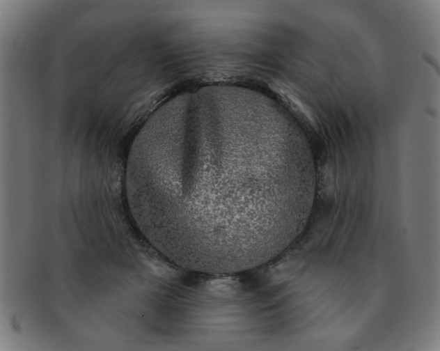 X0000091350505200708241250