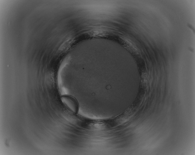 X0000091350506200708241250